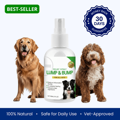 Protect Your Dog’s Skin from Itching and Infections - Melcora