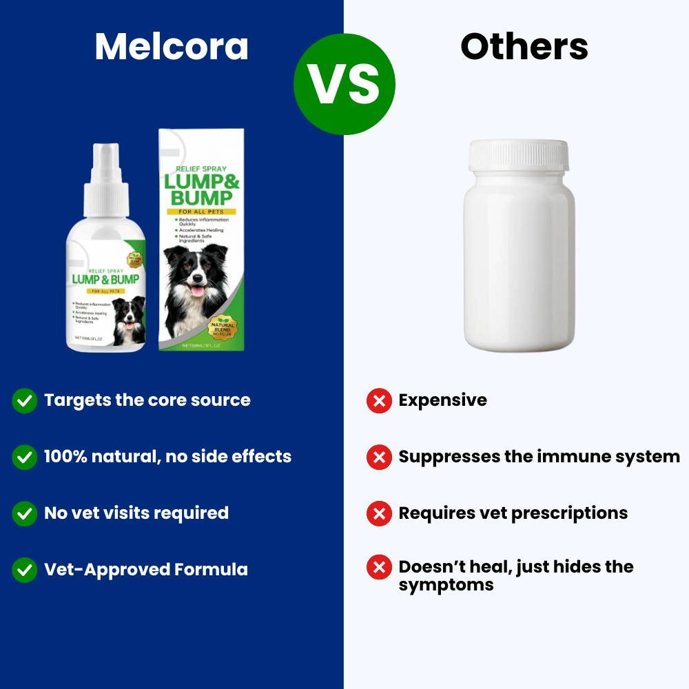 Protect Your Dog’s Skin from Itching and Infections - Melcora