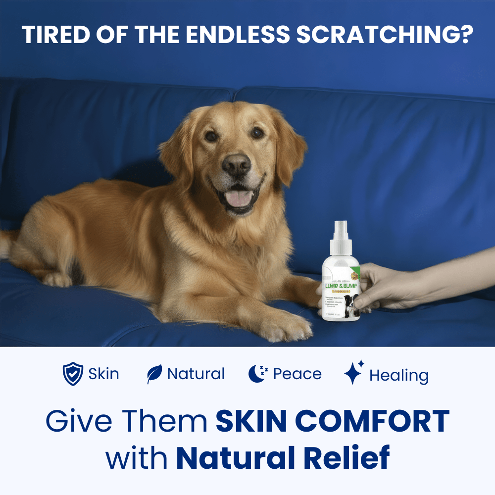 Protect Your Dog’s Skin from Itching and Infections - Melcora