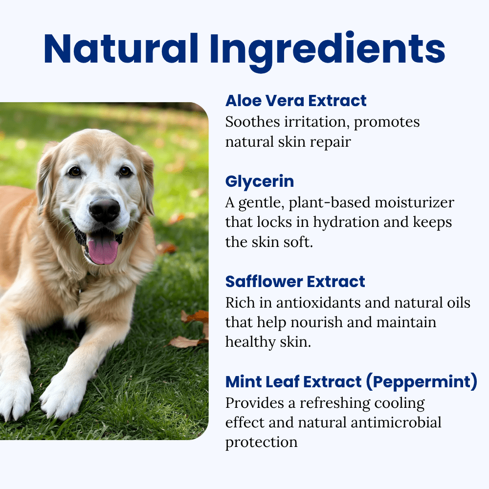 Protect Your Dog’s Skin from Itching and Infections - Melcora