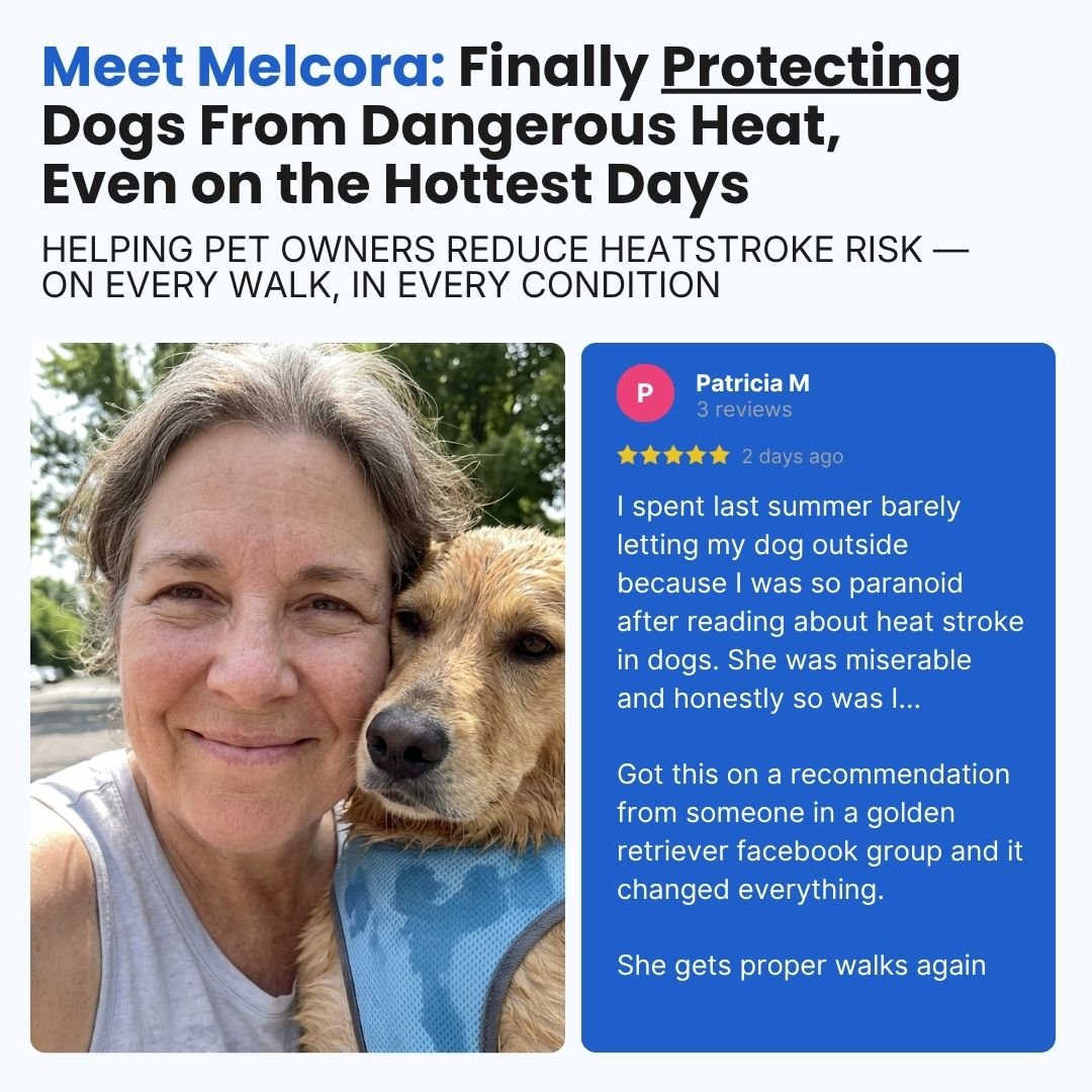 Dog Cooling Vest - Melcora