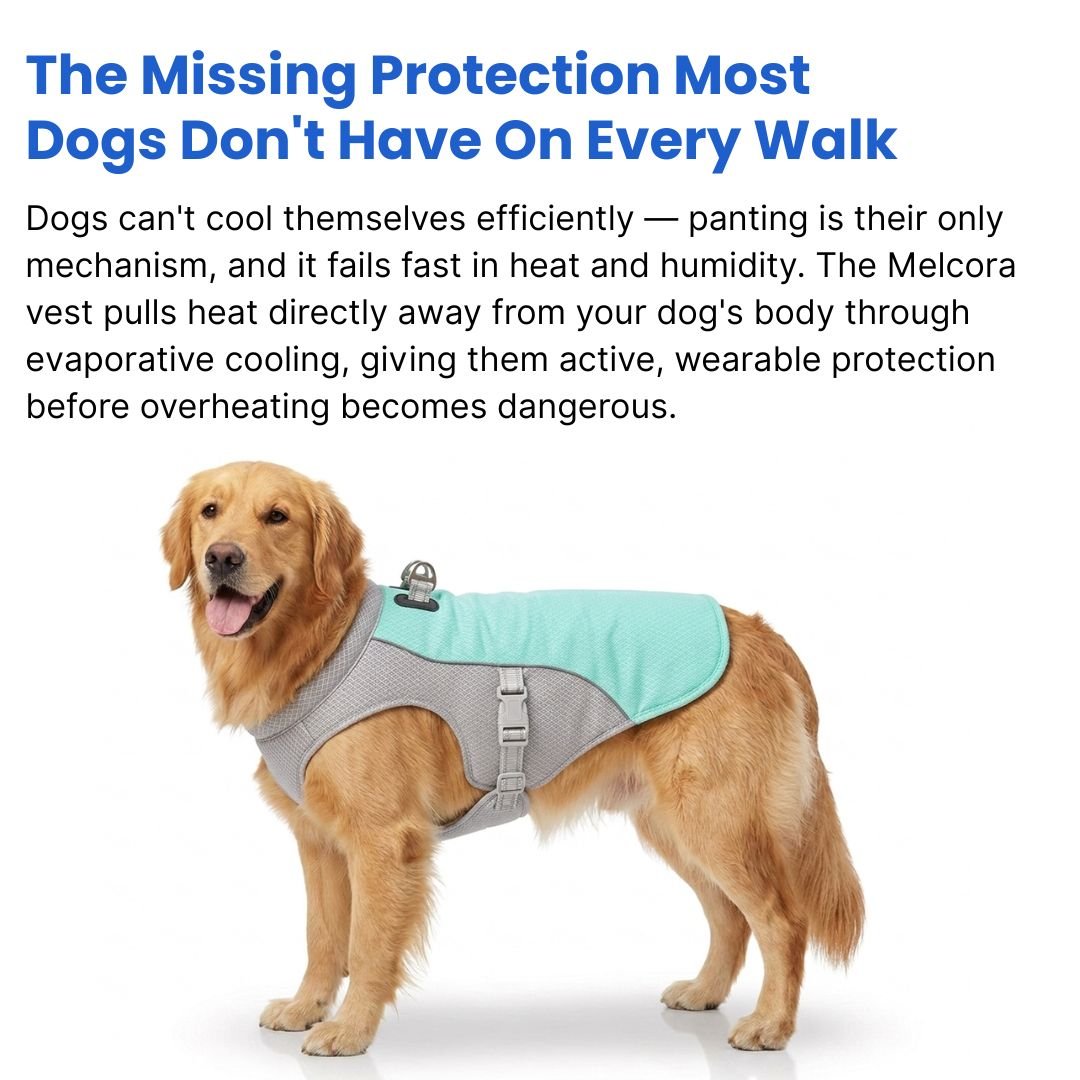 Dog Cooling Vest - Melcora